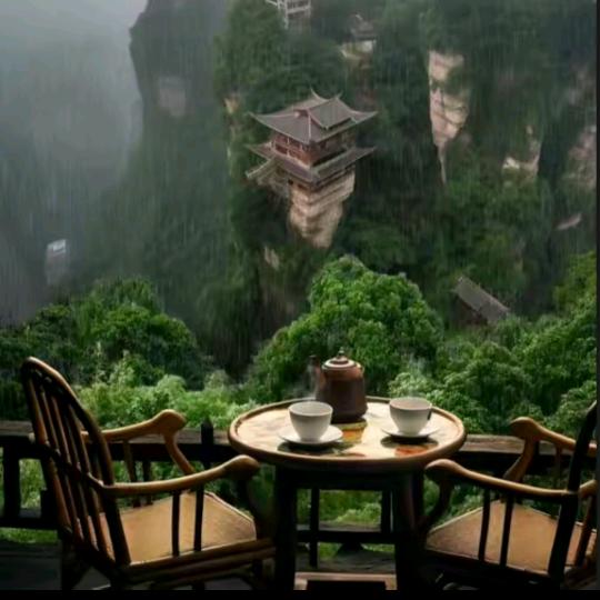 陈廷柯柯柯直播号