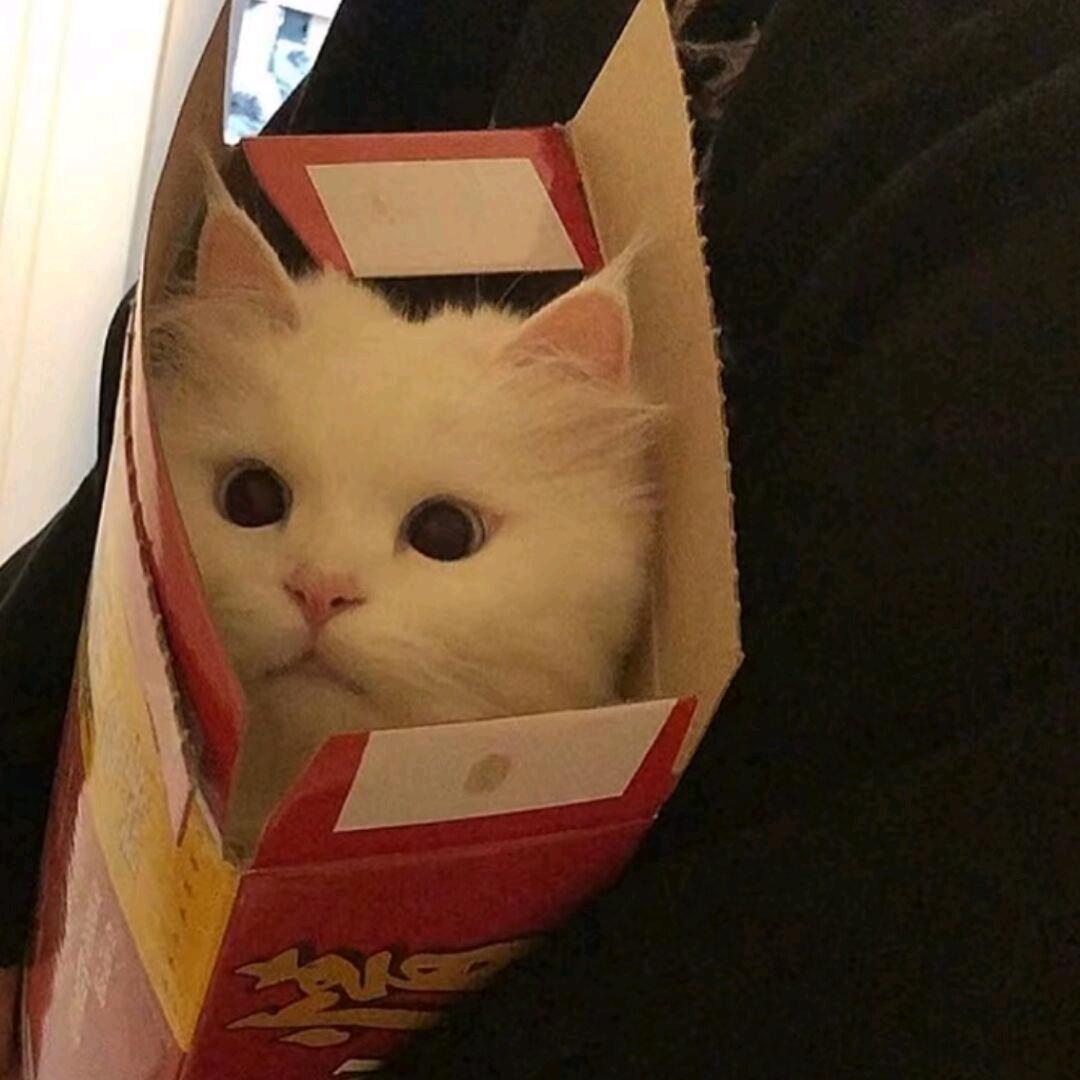 水上函