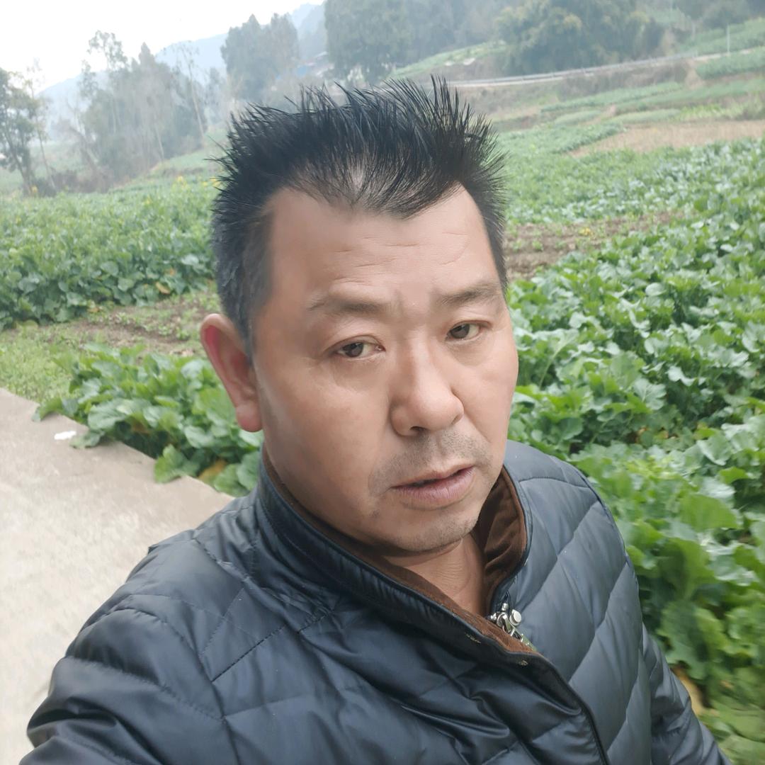 金鹰૮ ºﻌºა