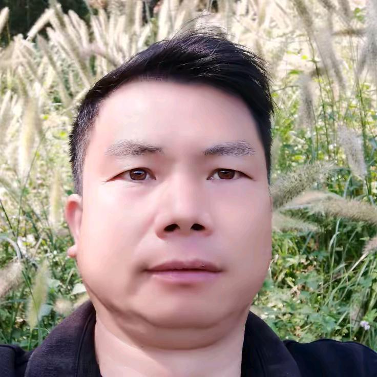 真情钟意