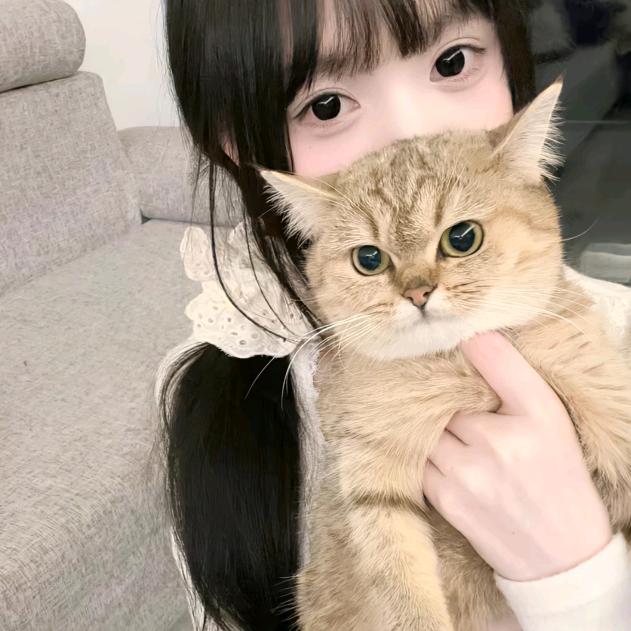 小愿