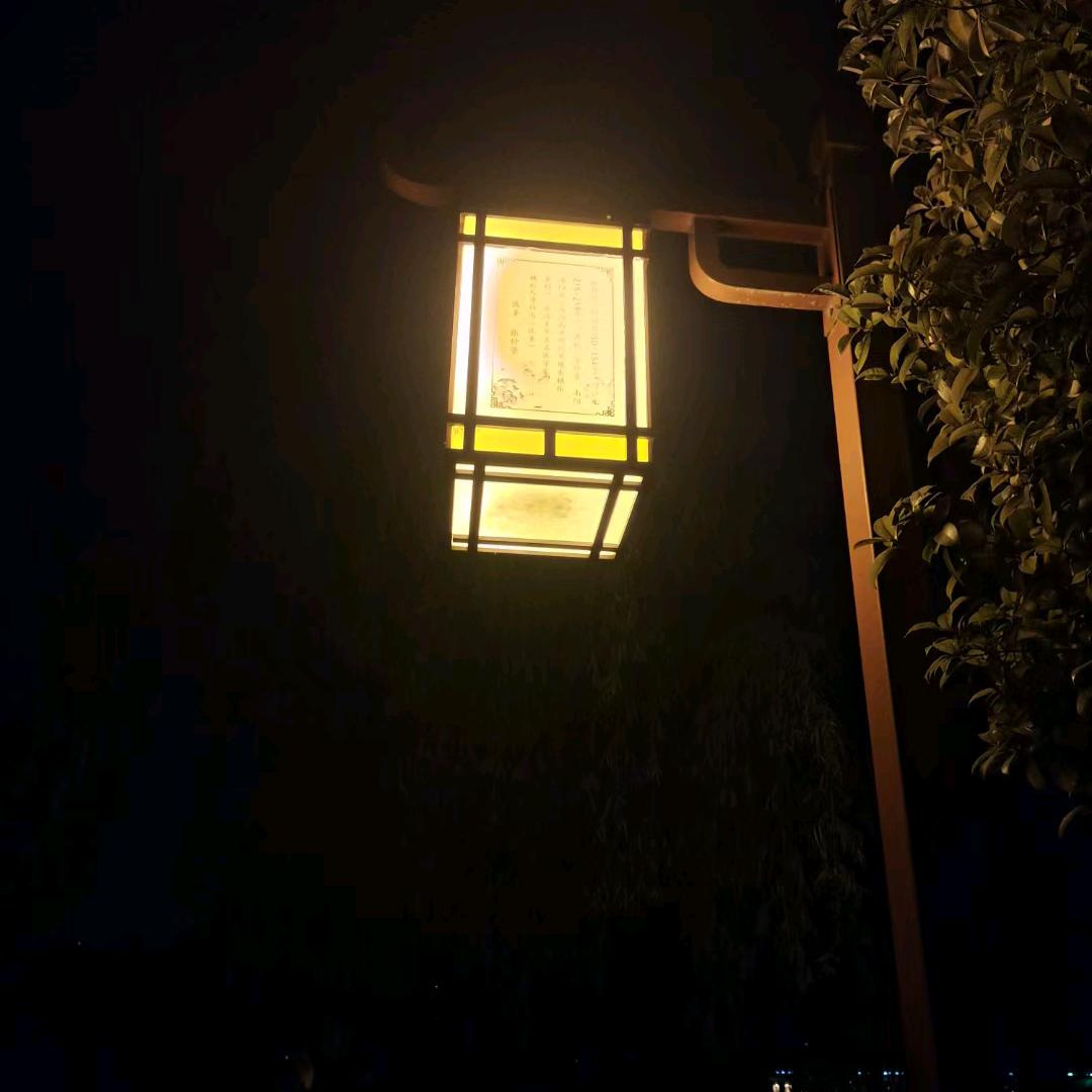 @只喝东方树叶