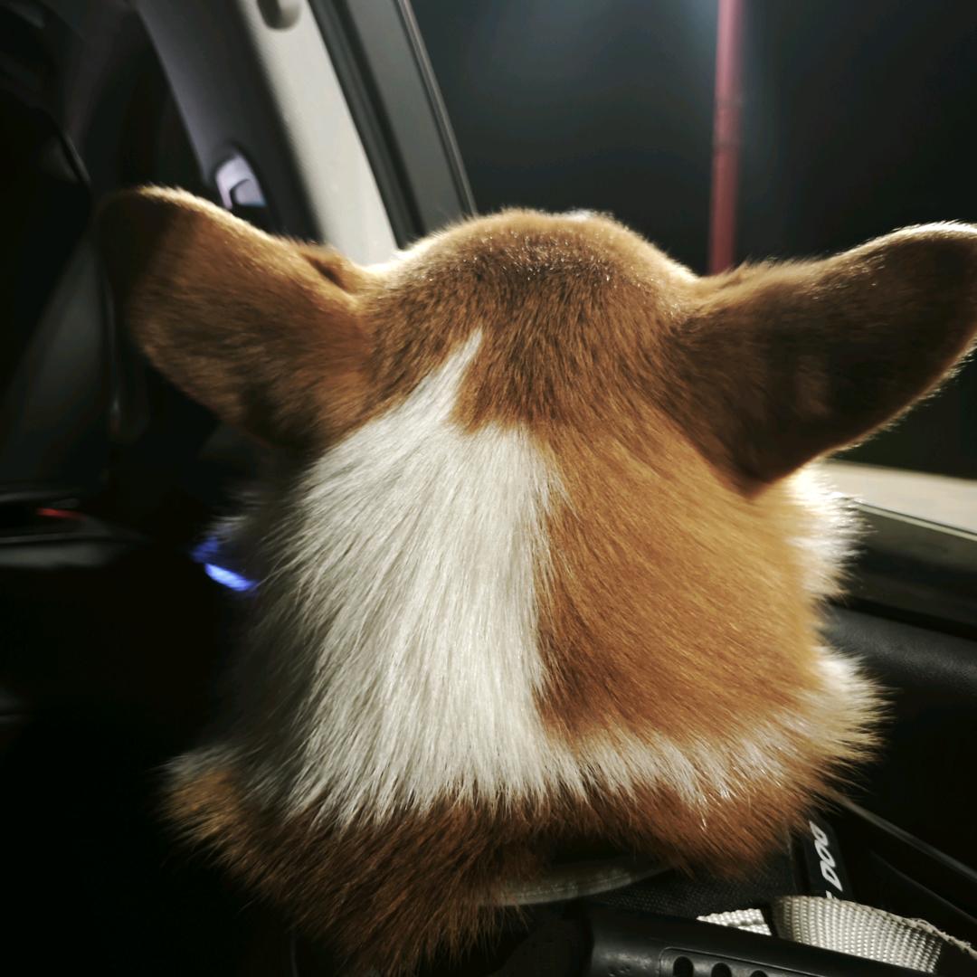 永远怀有少女心