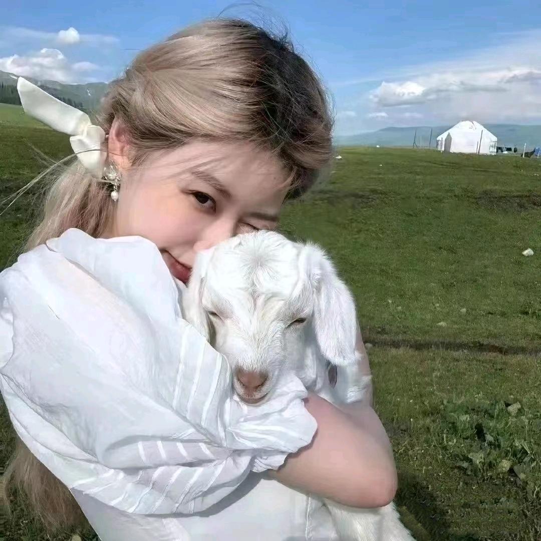 🍬豆子