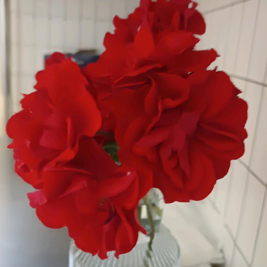 既来之，则安之