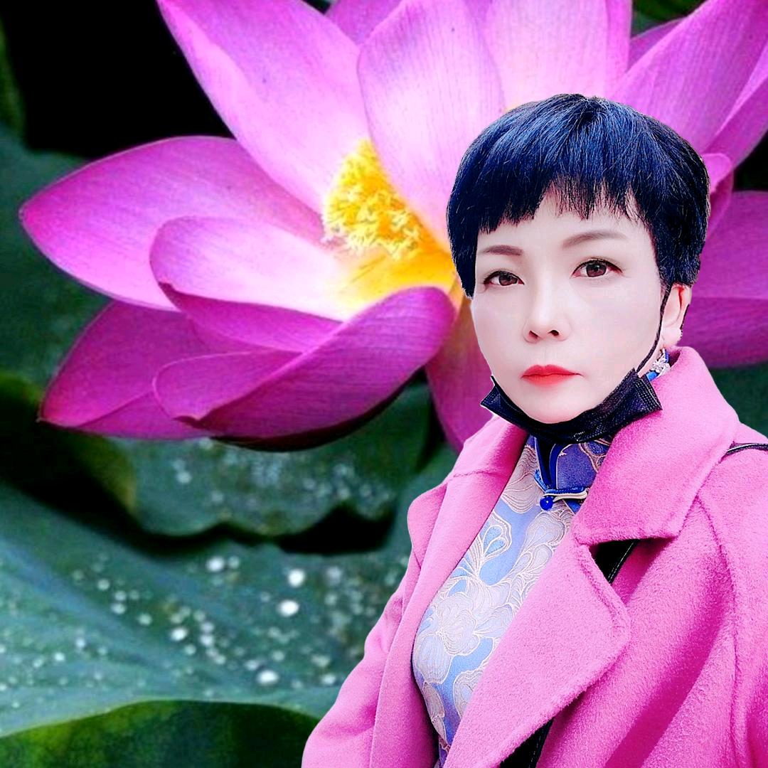 绿荷清怡