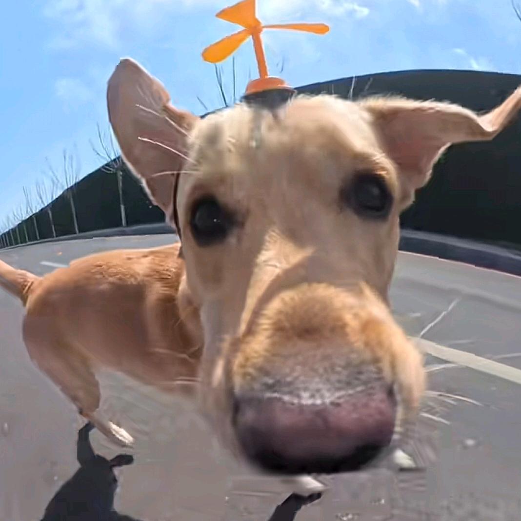 林҉深҉时҉雾҉起