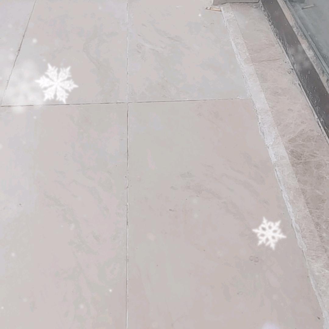 冷泡茉莉花茶叶