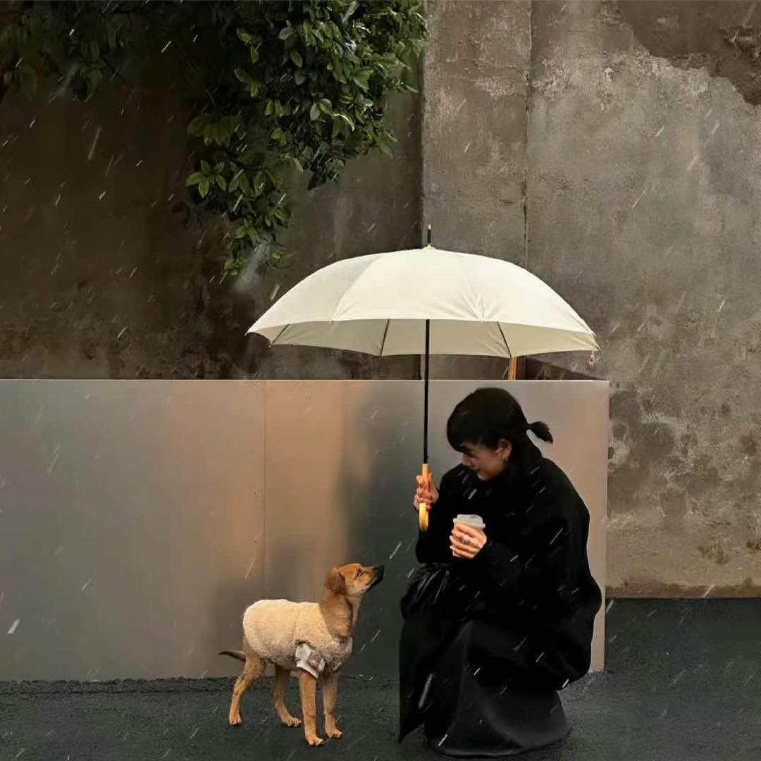 ✨ོ梦ꦿএ᭄