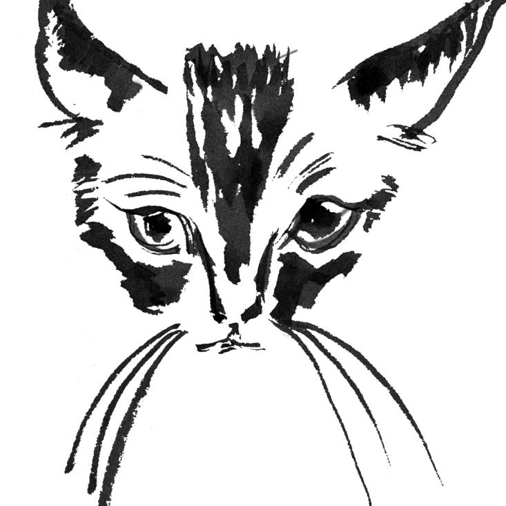 小葡萄（要开心）