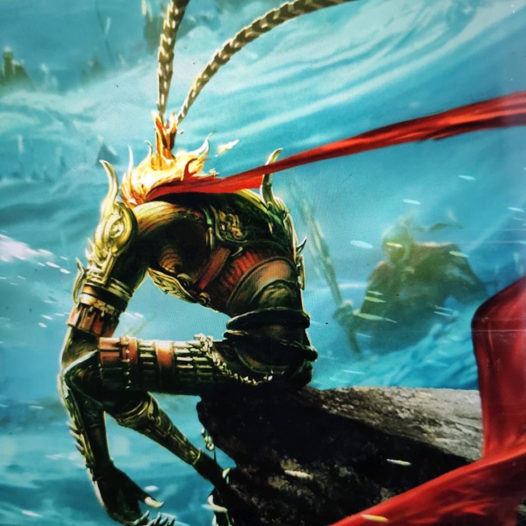 萌新的大圣路（善逸）