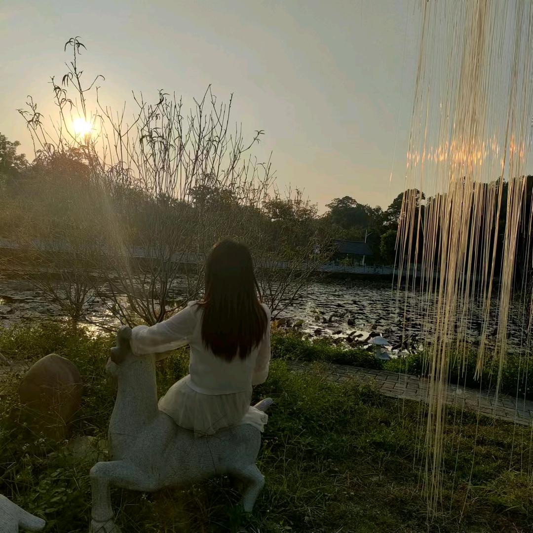 小琴