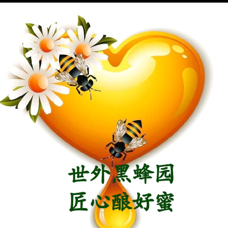 黑蜂原蜜方舱