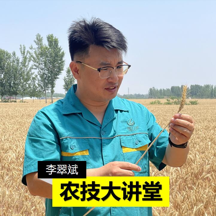 农技大讲堂·根力多