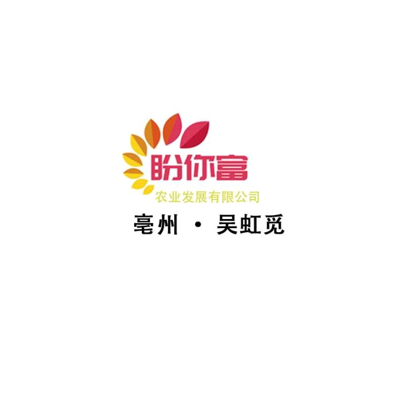 村姑姐姐好