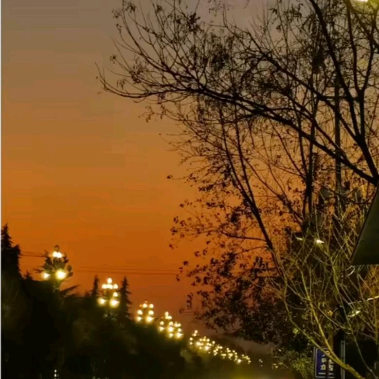 yu枫