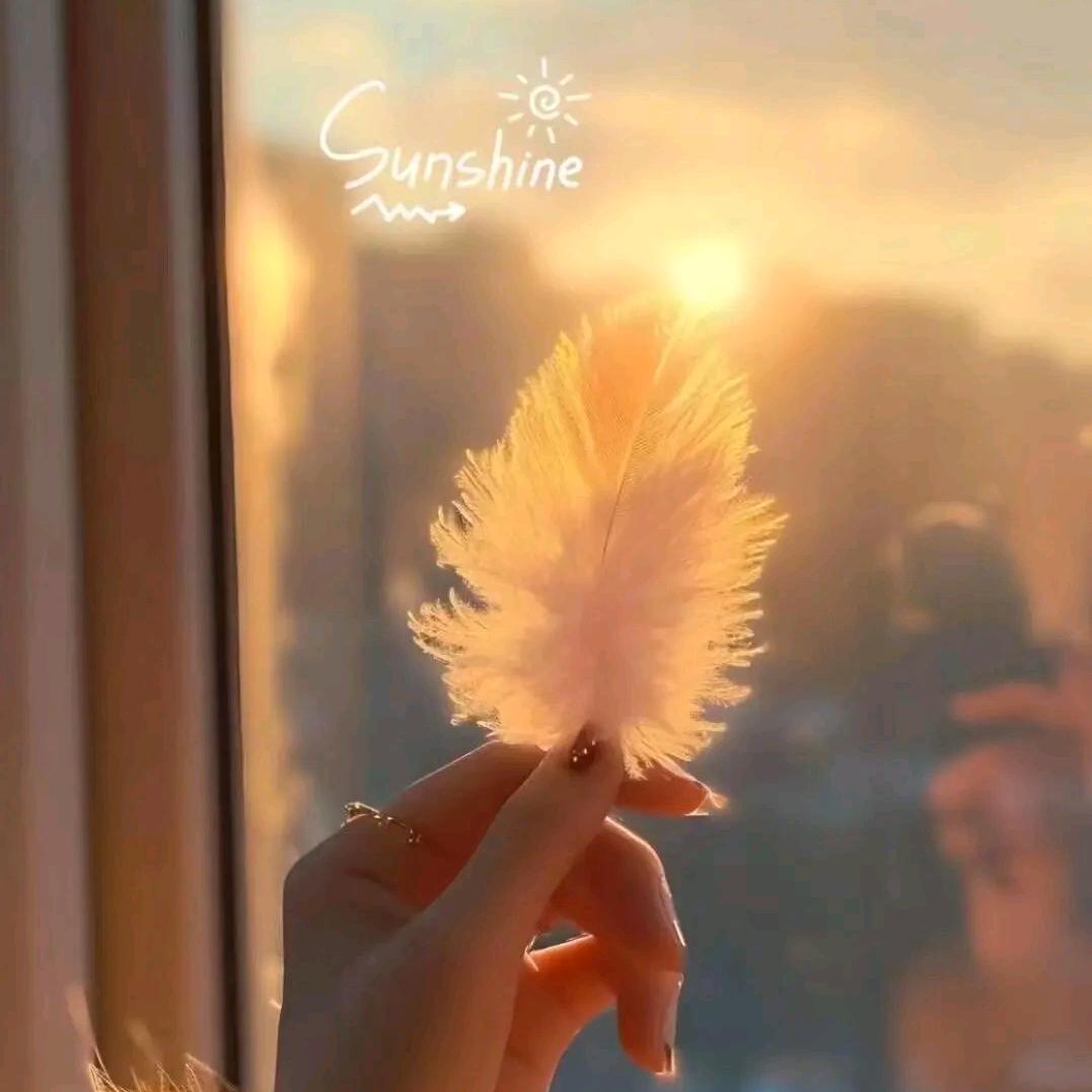 💕᭄ꦿ很幸运ོ࿆遇见᭄
