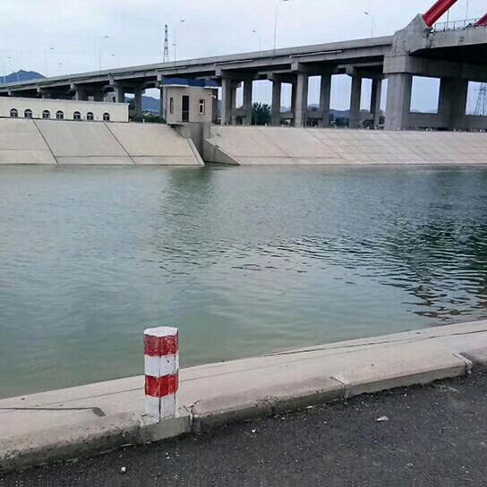 豫北牛羊草料市场。