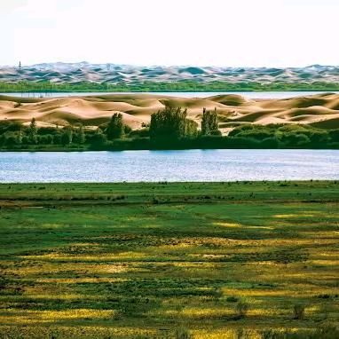 青草源本地生活团购推荐官