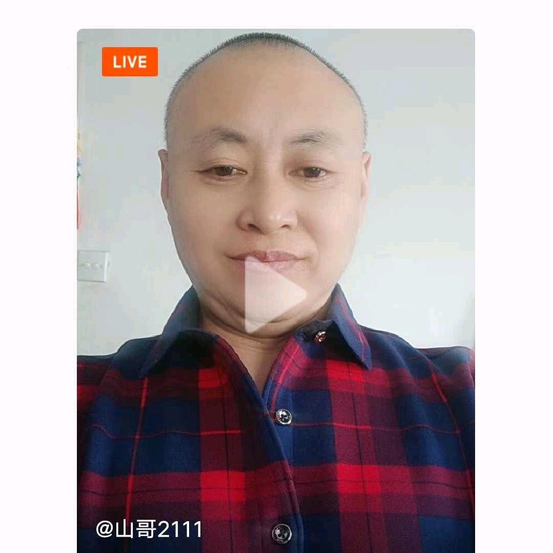 山哥自由飞翔