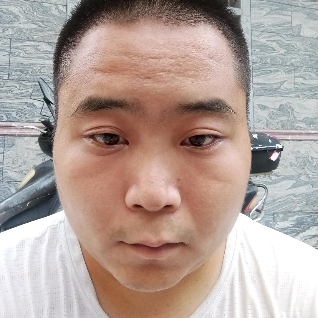 张鹏飞