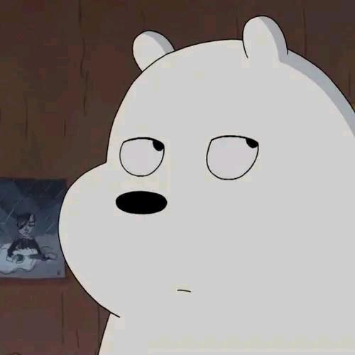 倒霉🐻
