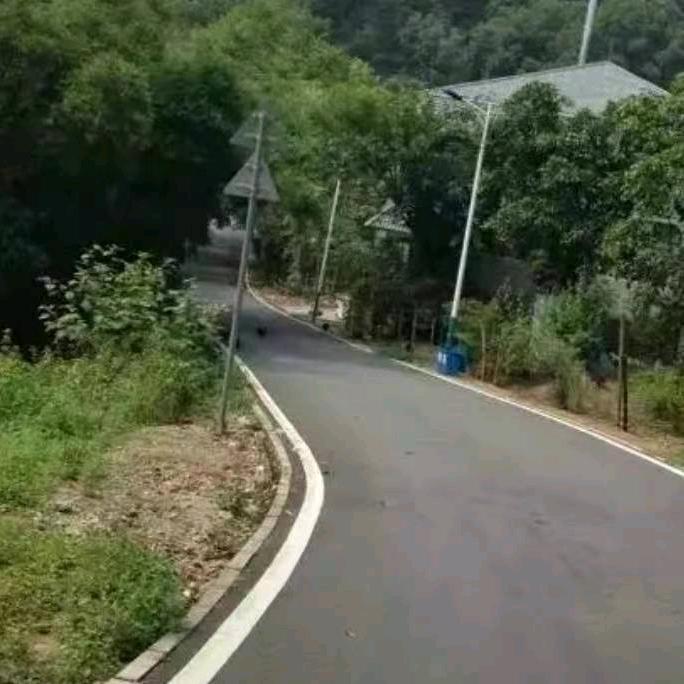 吞舟之鱼