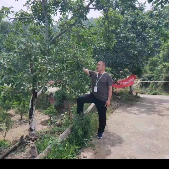 雪豹jiang 中医理疗养生