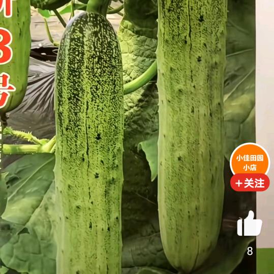 百财