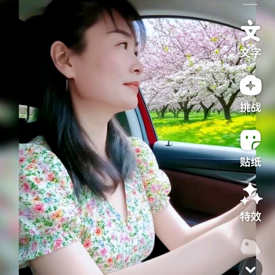 往事清零