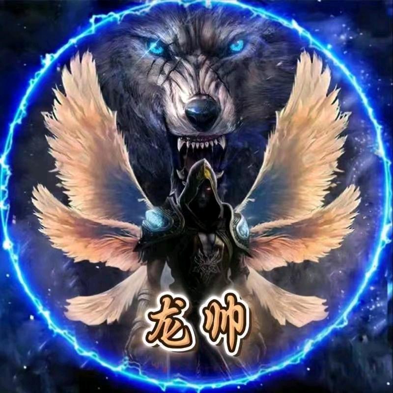 龙帅。