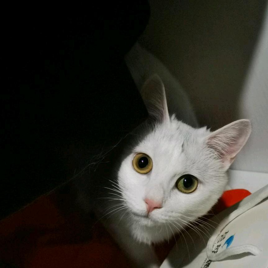Tian✨