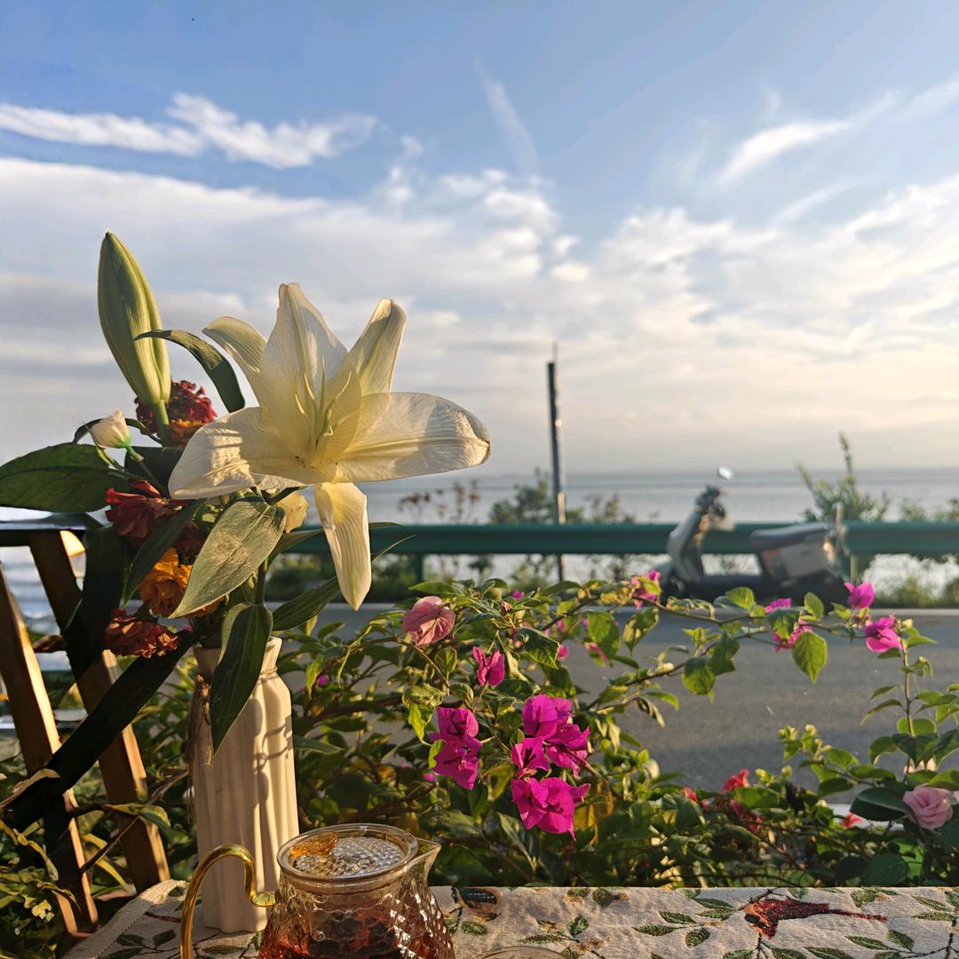 灵小兔的亲子游玩