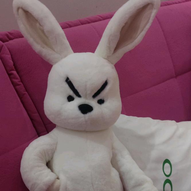 晨日东轩-塑胶地板专业施工