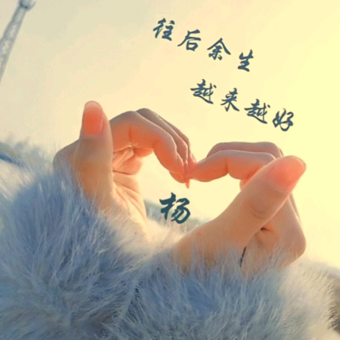 杨红