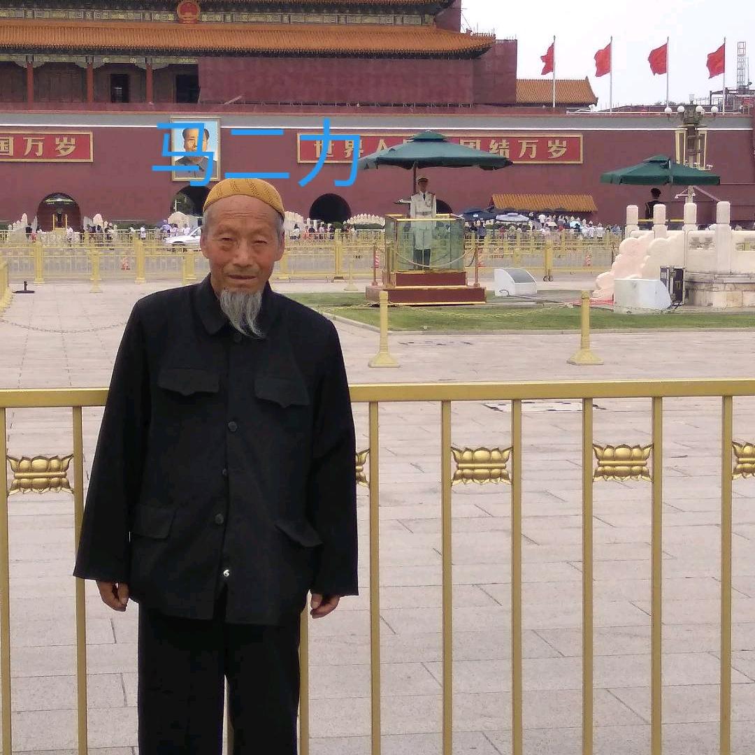 马二力