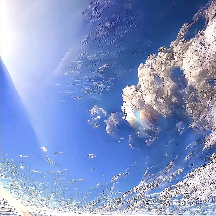 杨DA飞
