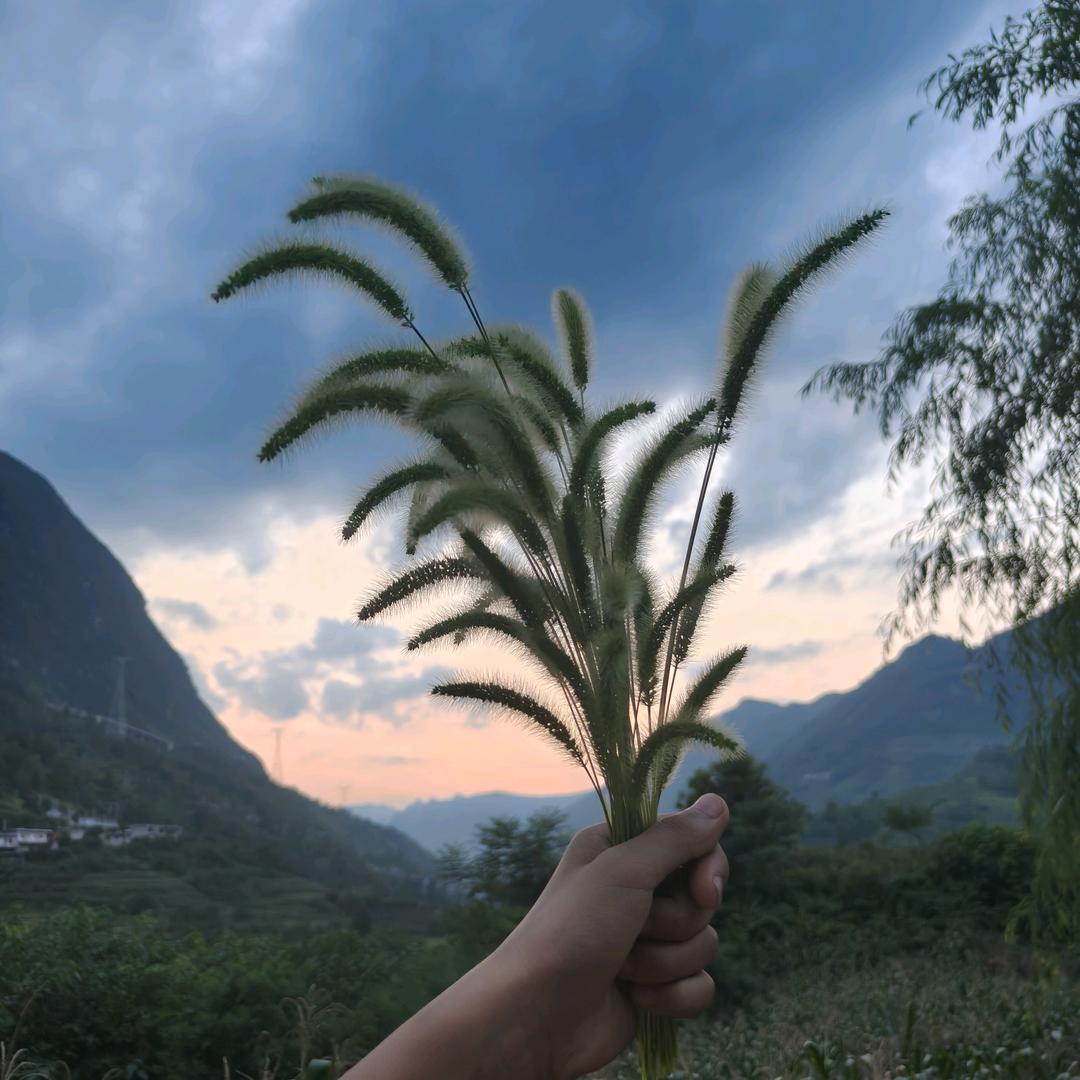 ✨L̶໊ₒ̶白白ᵥ̶ₑ̶ᩚ🍀