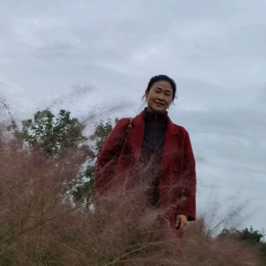 北漂的燕子