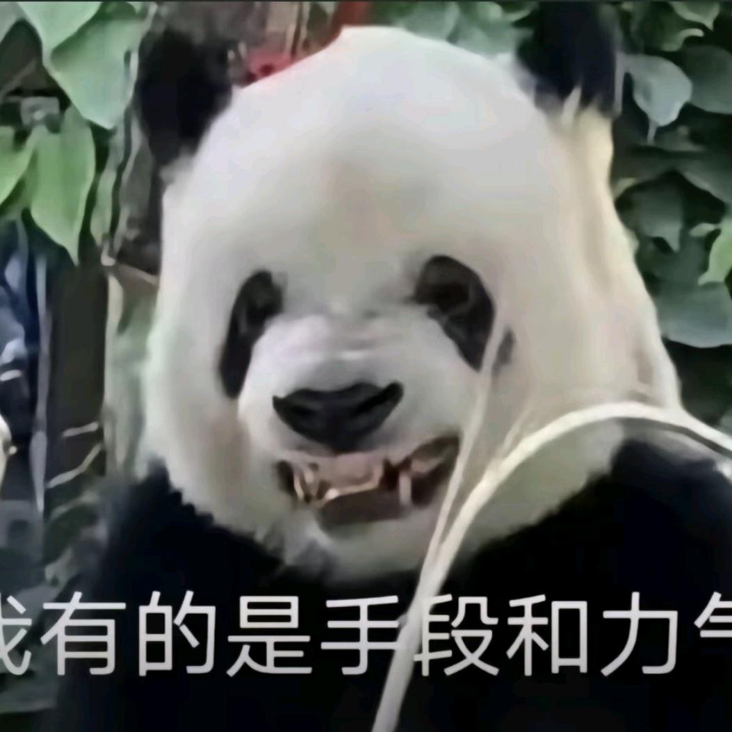 一米八的母老虎 🐯