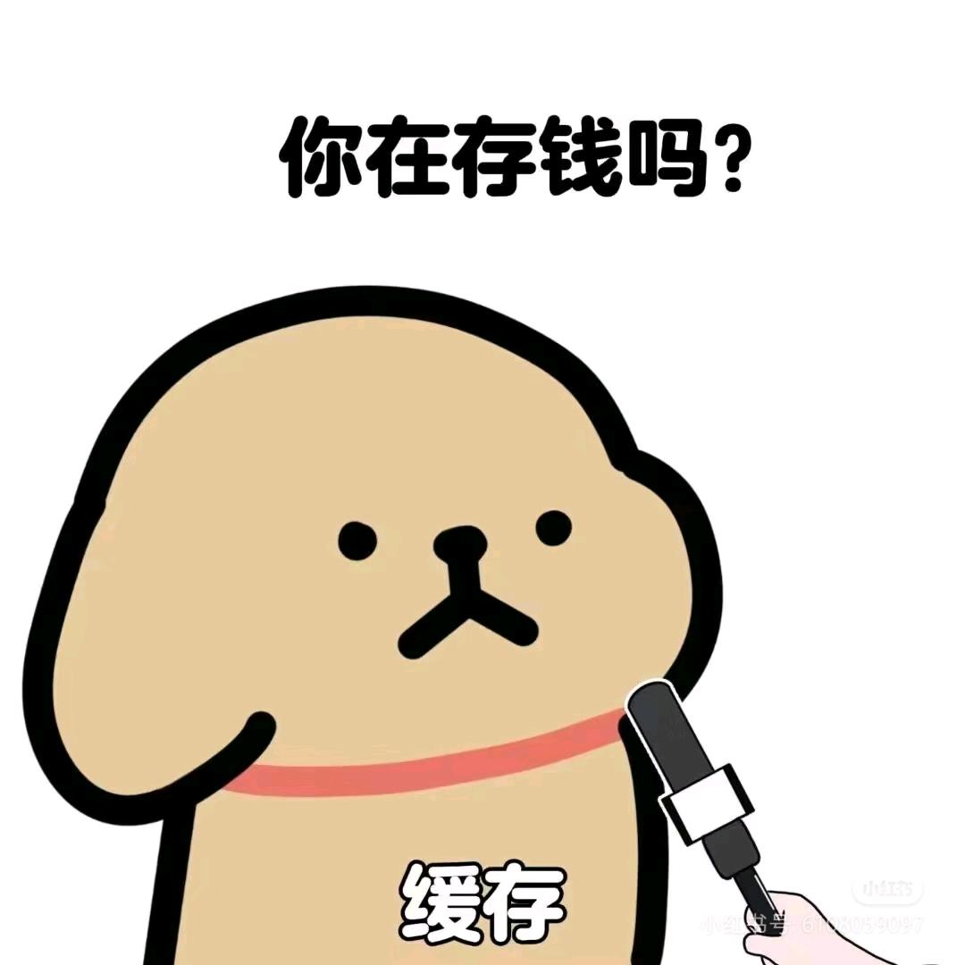 卡皮巴rua