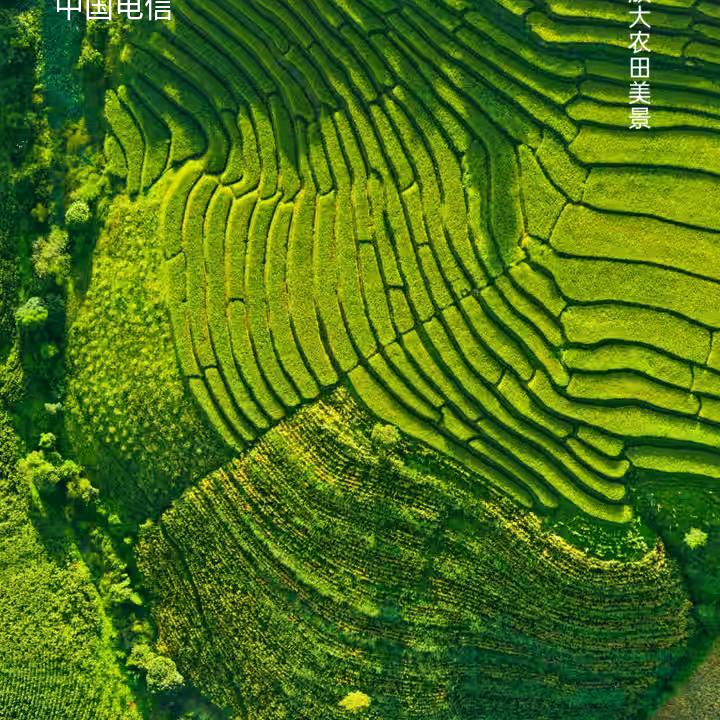 美业晓青（努力）