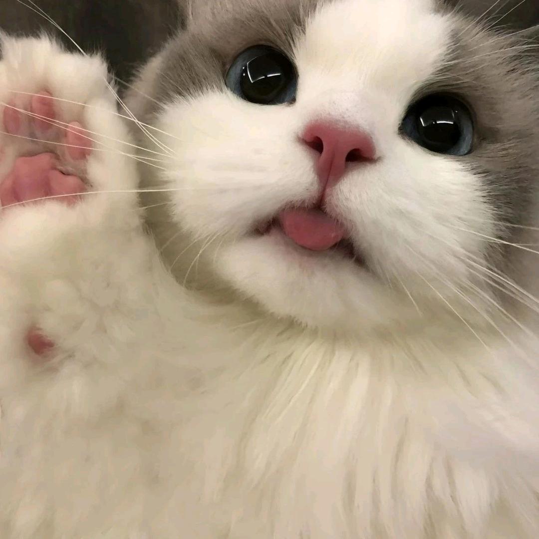 🍉甜不懂🍋酸