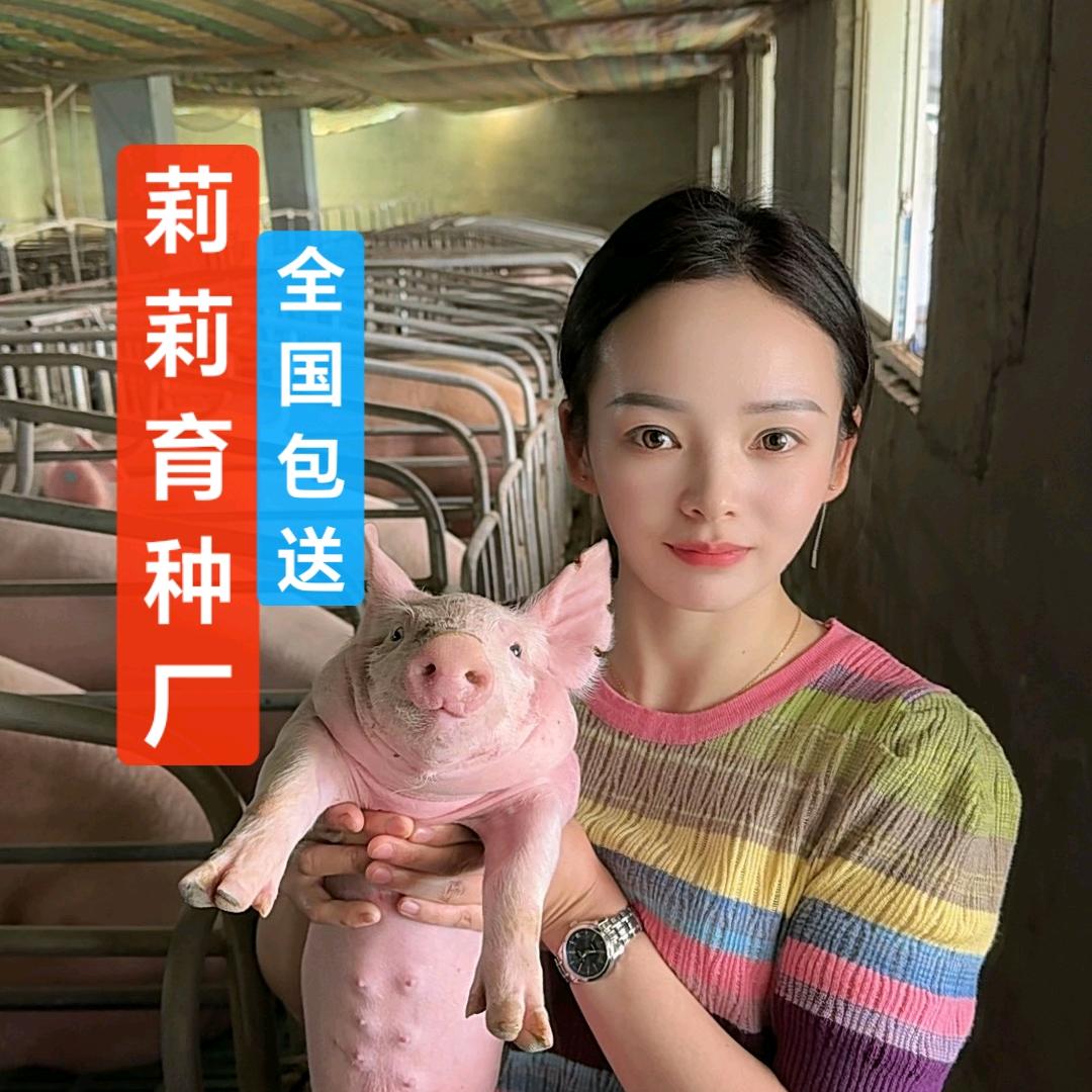 莉莉育种厂🚩萍萍