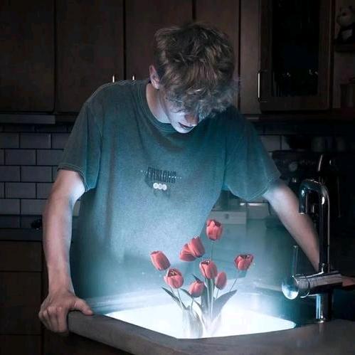 适合做一头猪🐖