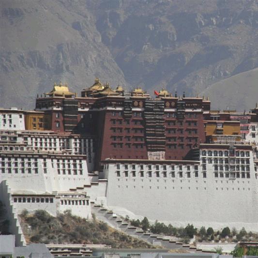 越越代（商贸）