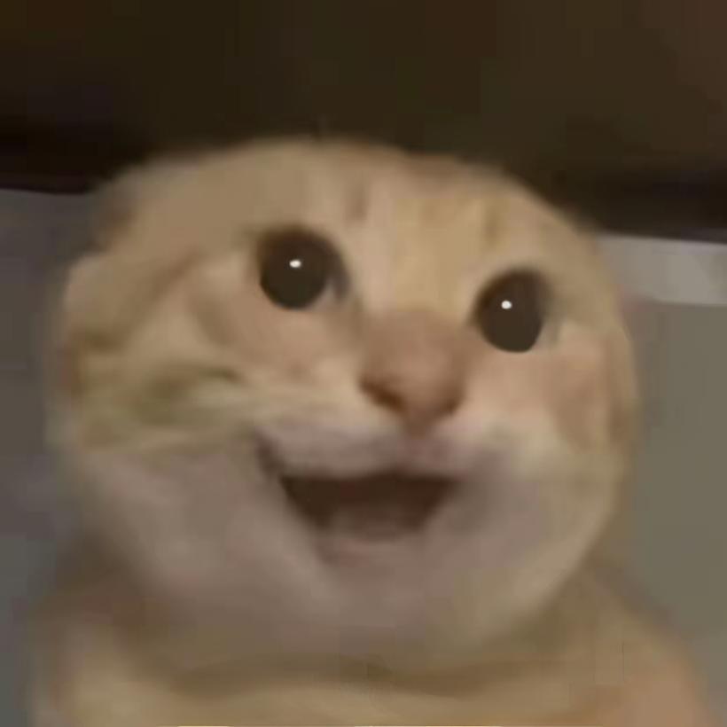 梅狸猫