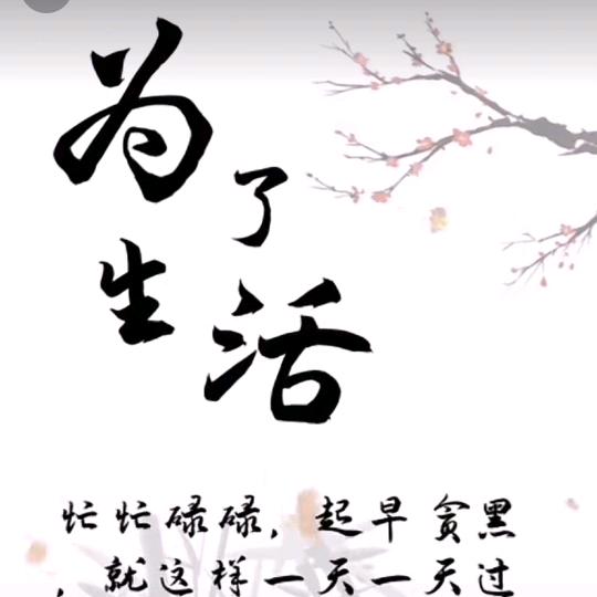 知足常乐🐷❤️🙏🏼