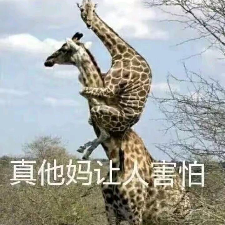 回个话