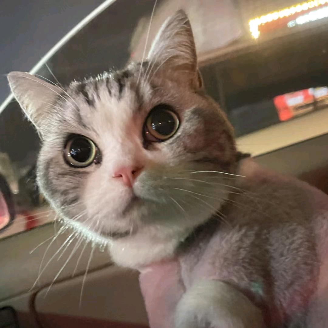 🌧️后彩虹🌈